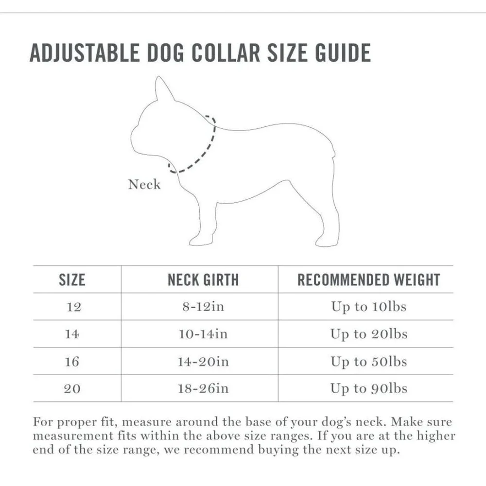 Martha Stewart Gray &‎ Tan Adjustable Nylon Large Dog Collar Size 20 (18-26in)